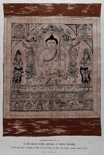 V0046096 The Dhyani Buddha Amitabha, in Tibetan Odpagmed Credit: Wellcome Library, London. Wellcome Images 